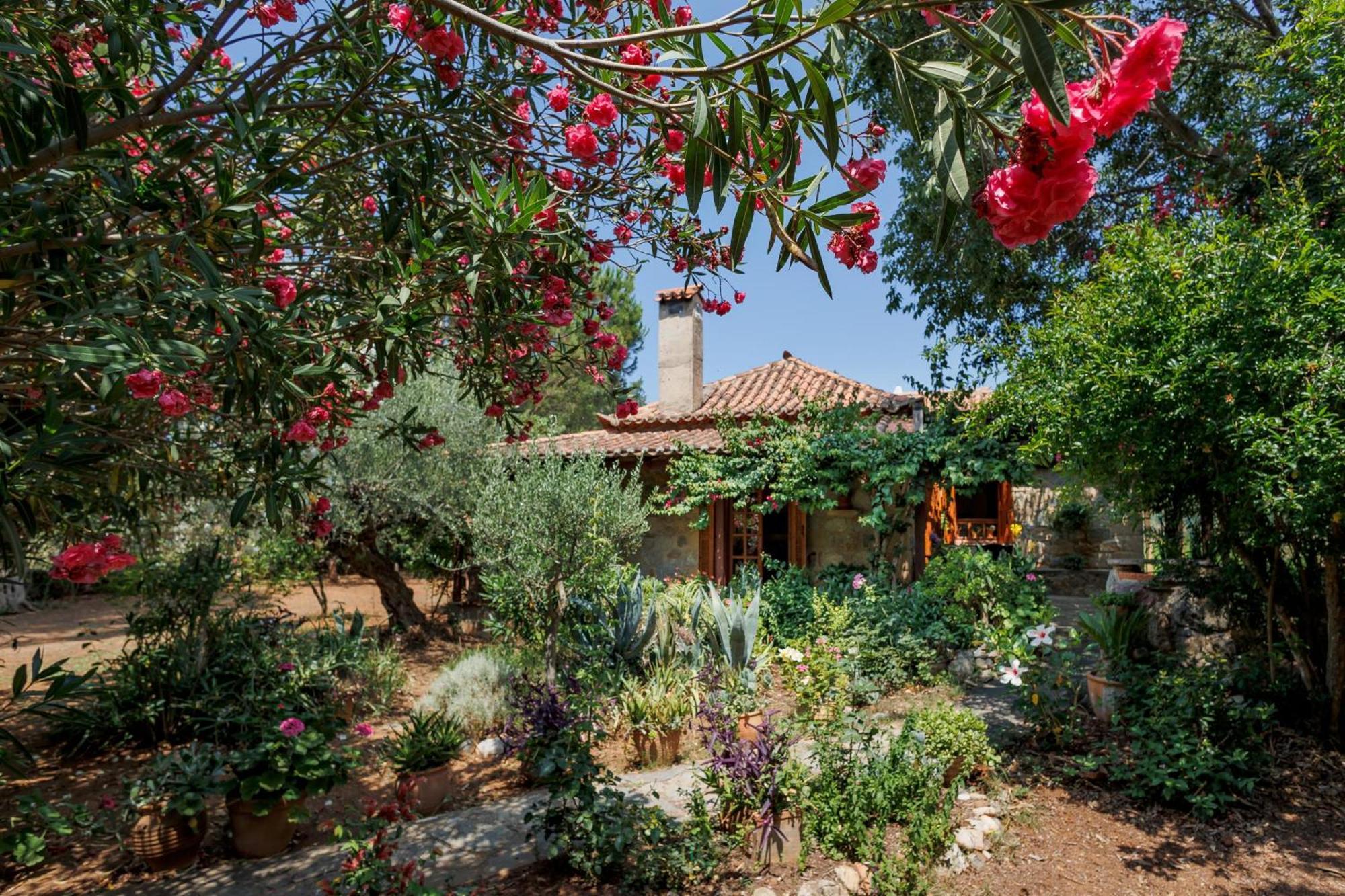 Vila Spiti Nicola Stoúpa Exteriér fotografie